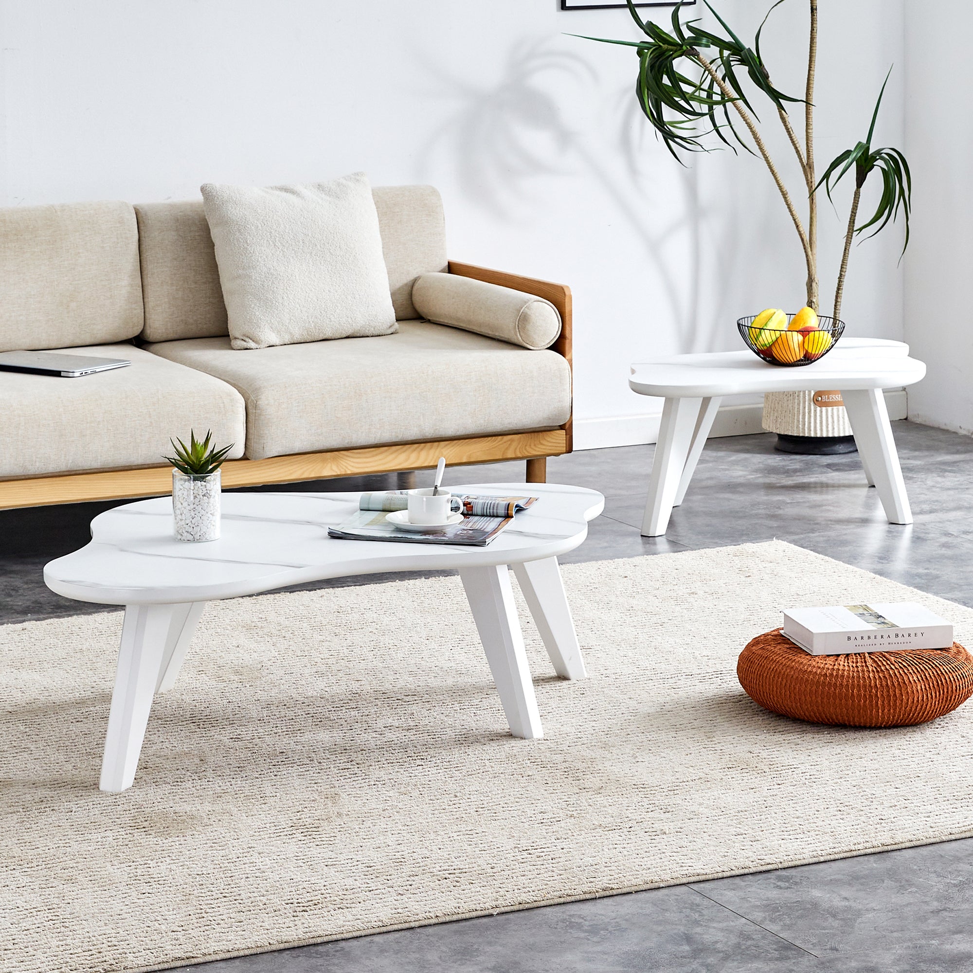 Modern Minimalist Wood Color Table