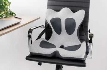 Lifted Lumbar Doctor-Developed Seat Cushion